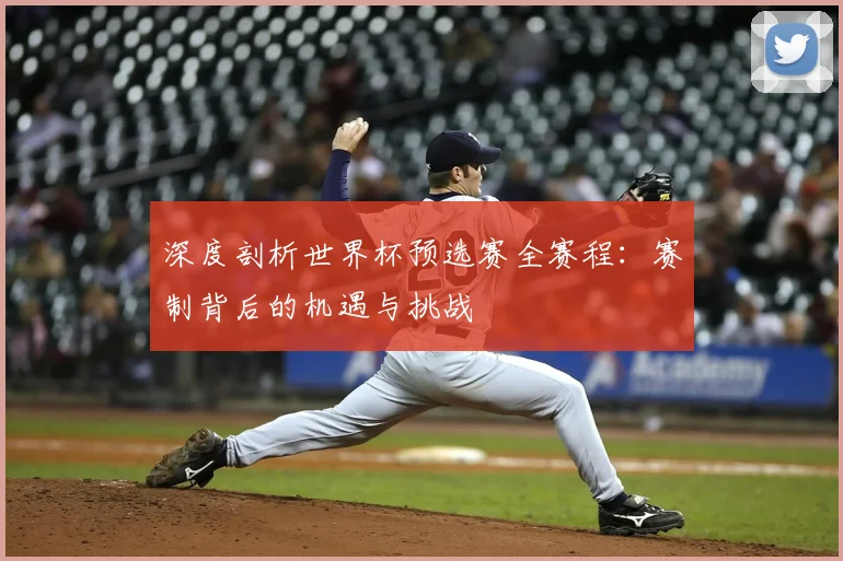 深度剖析世界杯预选赛全赛程：赛制背后的机遇与挑战