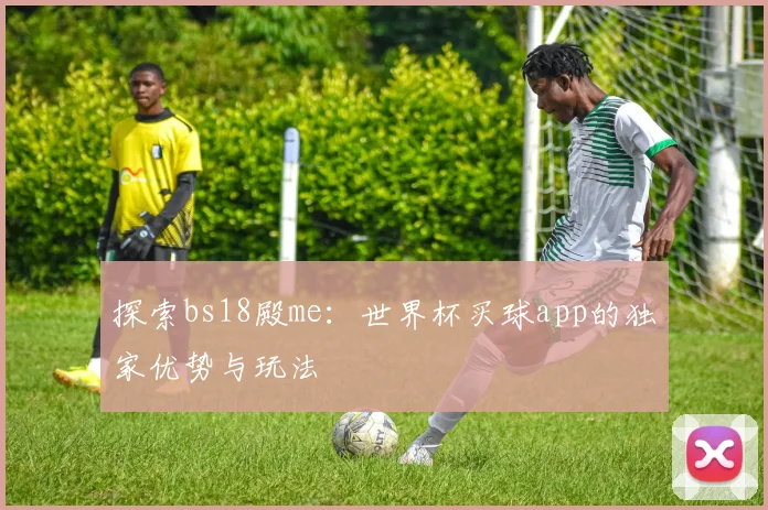 探索bs18殿me：世界杯买球app的独家优势与玩法
