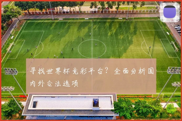 寻找世界杯竞彩平台？全面分析国内外合法选项