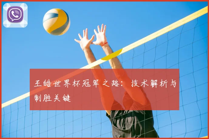 王皓世界杯冠军之路:技术解析与制胜关键