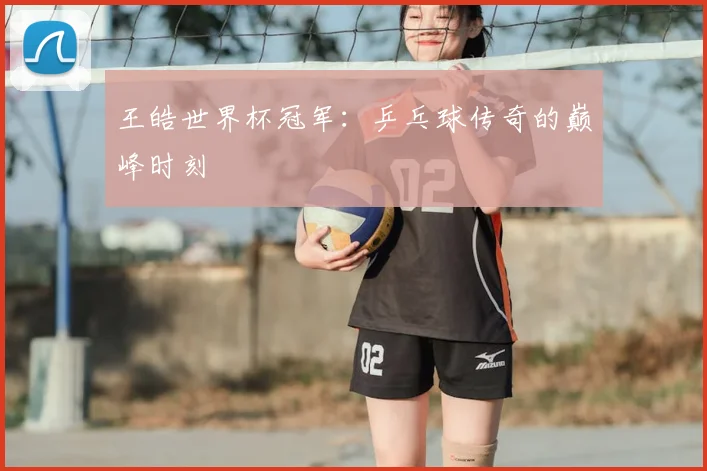 王皓世界杯冠军:乒乓球传奇的巅峰时刻