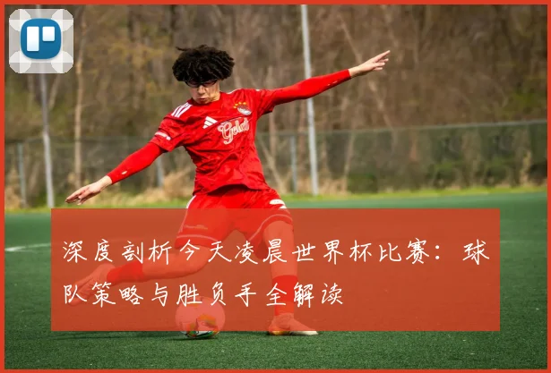 深度剖析今天凌晨世界杯比赛：球队策略与胜负手全解读