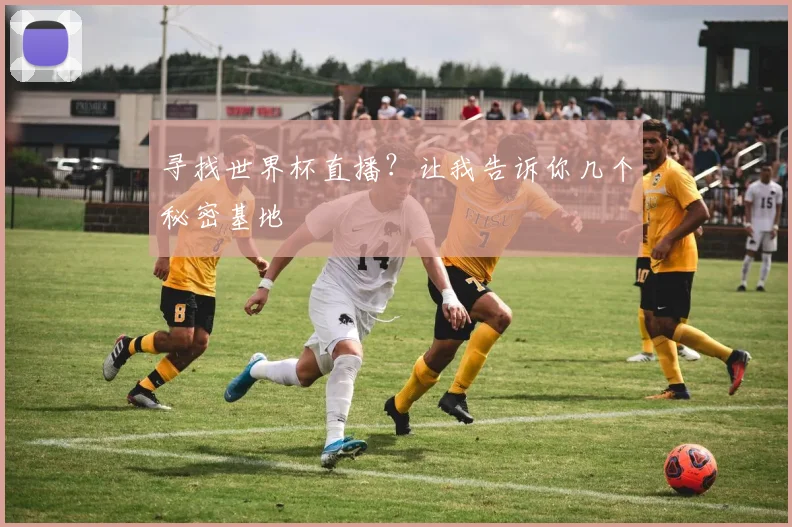 寻找世界杯直播？让我告诉你几个秘密基地