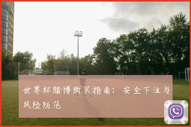 世界杯赌博购买指南:安全下注与风险防范