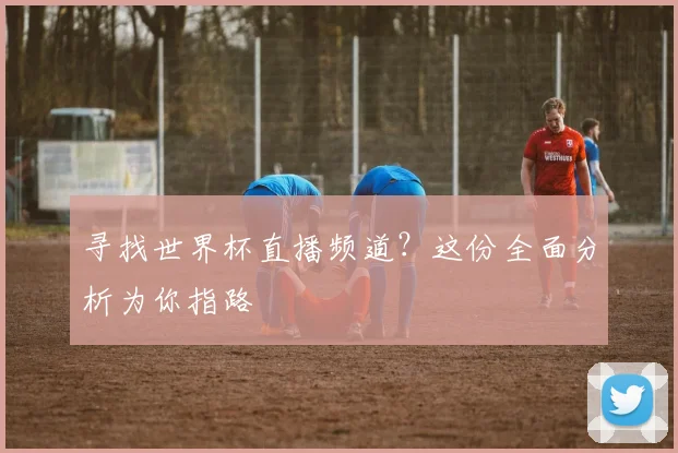 寻找世界杯直播频道？这份全面分析为你指路