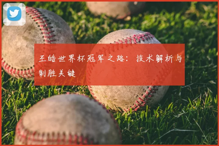 王皓世界杯冠军之路:技术解析与制胜关键
