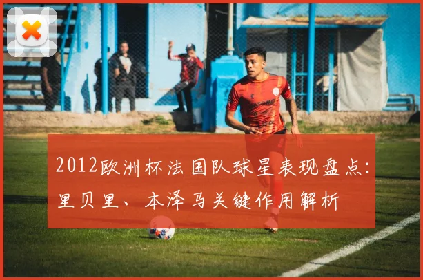 2012欧洲杯法国队球星表现盘点：里贝里、本泽马关键作用解析