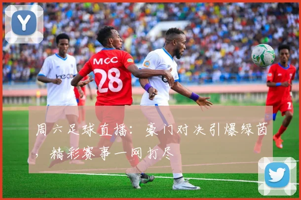 周六足球直播：豪门对决引爆绿茵，精彩赛事一网打尽